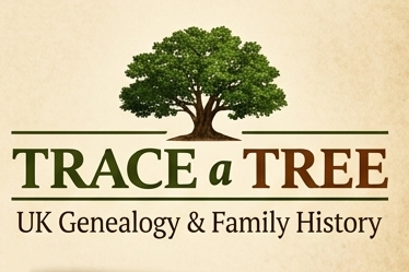 Trace A Tree